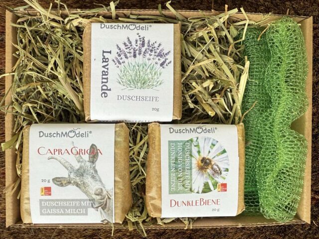 Mödeli à tester, dans du foin