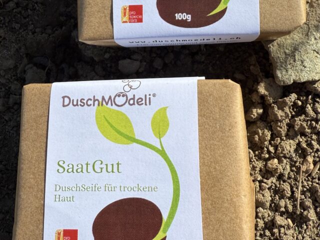 Mild Swiss shower soap with seeds from Prospecierara